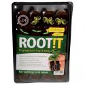 ROOT!T Plateau de propagation 24 cubes